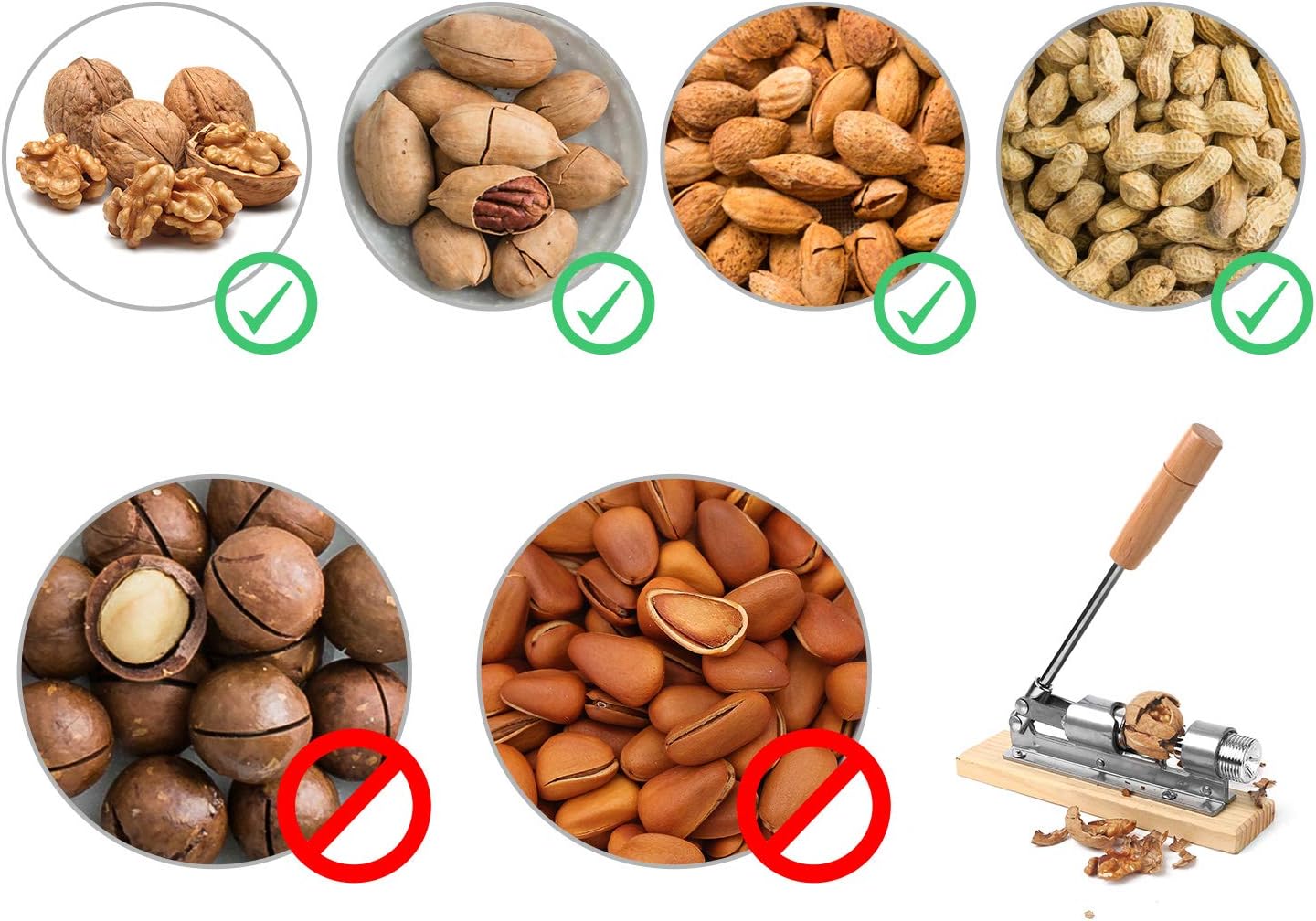 Nutcracker Durability Under Black-Walnut Pressure: Which Tools Actually Hold